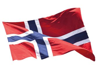 Norsk flagg til paradestang